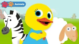 Learn Animals for Toddlers with Tillie Knock Knock | Early Learning Videos for Baby Development