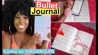 COMO SE ORGANIZAR USANDO O BULLET JOURNAL 2019 POR  LUANY CRISTINA