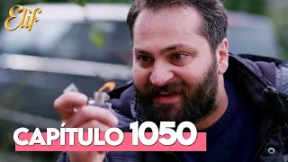 Elif Quinta Temporada Capítulo 1050 | Elif Capítulo 1050