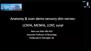 ICCNMI2021 Anatomy and scan demo of the small sensory nerves of the upper and lower limb.