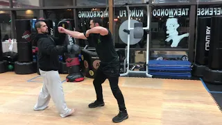 Kung Fu Southern Praying Mantis Style | Panther Martial Arts | Ventura County