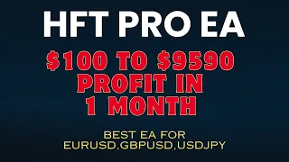 HFT Pro EA Forex MT4 EA Feb 2024 Month Profit | Best forex robots