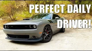 5 REASONS WHY YOU SHOULD DAILY DRIVE A DODGE CHALLENGER!