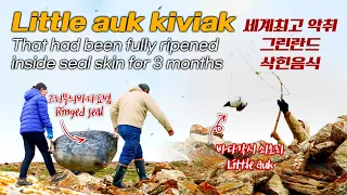 Food that rots in the stomach of a seal by hunting a sea duck. Greenland food called Kibiak.