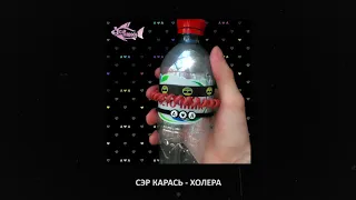 Сэр Карась - Холера (Official Audio)