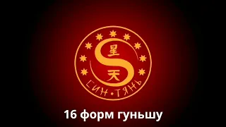 16 форм гуньшу. II ступень.