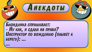 🙈 Блондинка спрашивает, ну и как... Я сдала на права ❓ Подборка веселых жизненных анекдотов ➕ Юмор