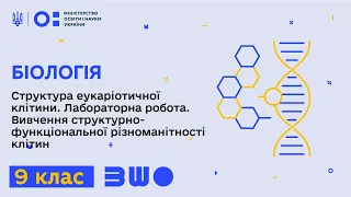 9 клас. Біологія. Структура еукаріотичної клітини. Вивчення функціональної різноманітності клітин Ч1