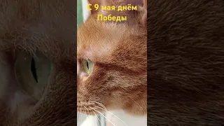 привет из Москвы с наступающим праздником всех благ и мира, Нина 😊