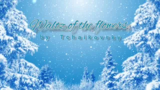 Waltz of the flowers by Tchaikovsky - Relaxing classical music