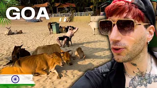 Romantická dovolenka v GOA!🌴 1.časť 🌸 #vlg11 #india