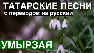 Татарские песни с переводом на Русский I Умырзая - Подснежник