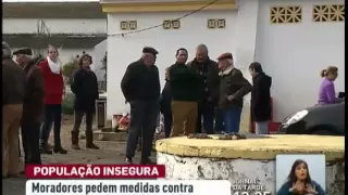 Imigrantes acusados de onda de furtos em Ferreira do Alentejo