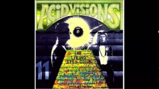 acid visions vol 11 the living eyes club