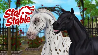 [SSO] Kupuję WSZYSTKIE nowe KONIE FRYZYJSKIE! 🙊 || Star Stable Aktualizacja