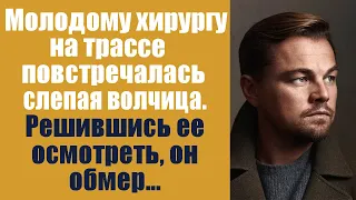 Молодому хирургу на трассе повстречалась слепая волчица, решившись её осмотреть он обмер!