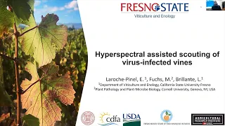 26th IPM Seminar #2: Hyperspectral-Assisted Scouting of Virus-Infected Vines w/Luca Brillante