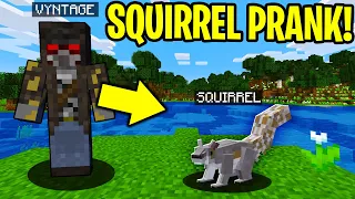 TROLLING AS A SQUIRREL IN MINECRAFT!