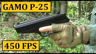 Gamo P-25 Pellet Pistol Review  (450FPS), Rifled Barrel, Blowback, .177 Cal)