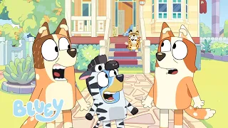 All New Bluey! | Series 3 Trailer | Bluey