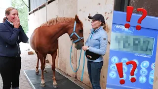 DE PAARDEN WEEG TEST! Zit een weeglint altijd fout? | Met Paardenmeter