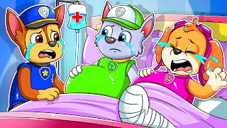 Brewing Cute Pregnant, Skye & Rocky is Pregnant!! - Paw Patrol Ultimate Rescue - Rainbow 3