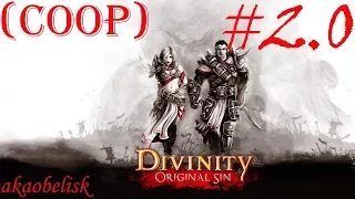 Divinity: Original Sin (coop) #2.0 «Адовый хардкор подъехал»