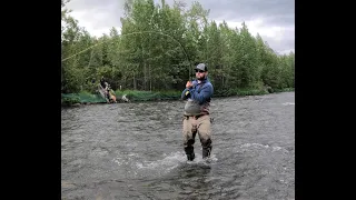 Russian River Sockeye Salmon