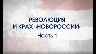 Битва за Украину (часть 14-1). МАЙДАН. РЕВОЛЮЦИЯ И КРАХ «НОВОРОССИИ» . 17-19 февраля