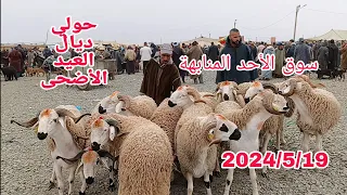 سوق الأحد المنابهة باقليم مراكش بتاريخ 2024/5/19 مع أتمنة حولي ديال العيد الأضحى وخروف صغيره