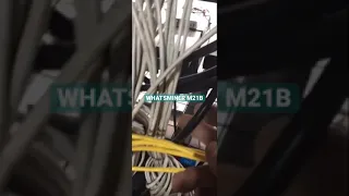 Whatsminer m21b