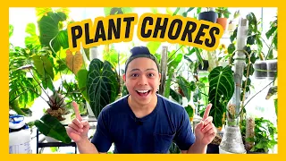 🌱 plant chores 💚 houseplant updates, watering plants, propagation, moss pole care, indoor plant care