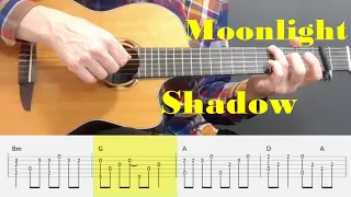 Moonlight Shadow - Mike Oldfield - Fingerstyle Guitar Tutorial Tab