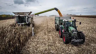 KUKORICA | SY PREMEO | ARATÁS 2020 | CLAAS LEXION 7700 | ZOM KFT.