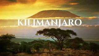 I Tried to Climb Africa's TALLEST Mountain (Kilimanjaro) With NO Training