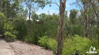 Ideanthro Ep 62 - Wetlands to visit in South East Queensland