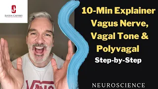 Vagus Nerve Exercises, Vagal Tone & Polyvagal explained (10-min)