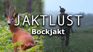Jaktlust Bockjakt (Hunting roebuck)