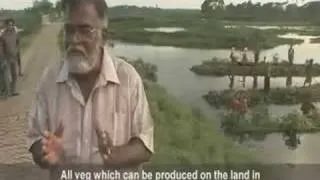 Floating crop gardens in Bangladesh