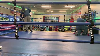 ALASKA BOXING ACADEMY SPARRING SESSION 1/26/23