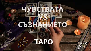 🔮🥰😜Море от чувства, любов,ревност..Открйте как да възтановите 100% доверието на вашия партньор..