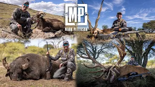 My Favorite Expedition in 2022: Argentina - The Trophy Room | Mark V. Peterson Hunting