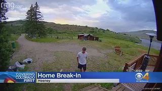 Man Tries To Use Doggie Door As Way To Break Into Home