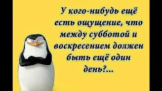 Юмор/Позитив/Наконец-то Суббота!!! Веселая открытка для настроения!