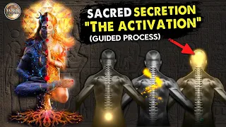 Sacred Secretion Activation - “Activate the Seed” Guided Meditation | Pineal Gland | Kundalini