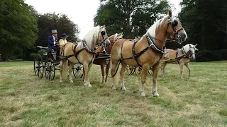 koetsenparade brugge 2018 tillegem bos