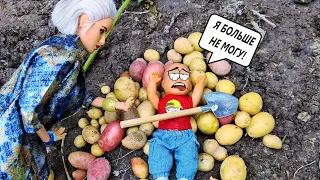 I WAS DIGGING POTATOES AND I WAS VERY TIRED)) Katya and Max are a fun family at Grandma's! Barbie