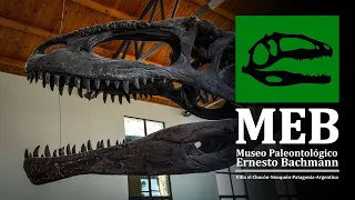 MEB - Visitamos el Museo Ernesto Bachmann de El Chocón, Neuquén - ¡GIGANOTOSAURUS ORIGINAL!