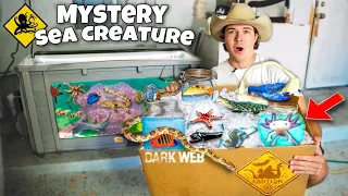 Buying Every STRANGE SEA CREATURE From The FISH STORE