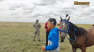 ҚҰНАН БӘЙГЕ, Май ауданының ат жарыс түрлеріне арналған кубогы, Май ауылы 20.08.2022